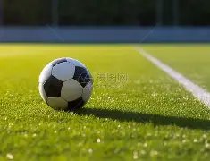 伊万未至,塞鸟登场引,热议,星空体育官网,星空体育App,星空体育直播,星空体育下载安装,星空体育平台