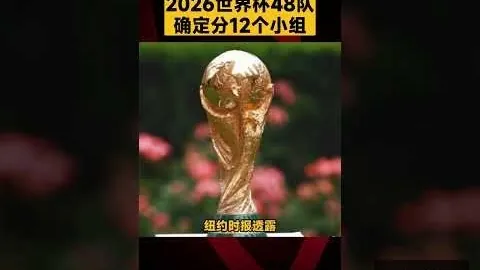 2025年1月31日星空体育官网：七位奥委会主席竞选策略一览